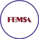 FEM logo